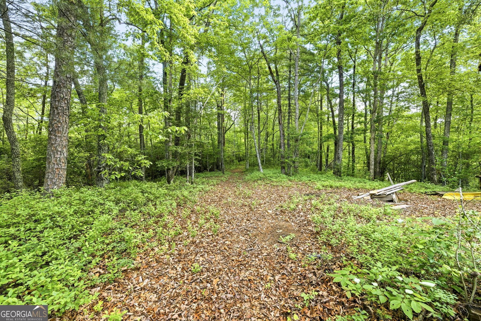 915 Sillycook Trail Clarkesville - Photo 50