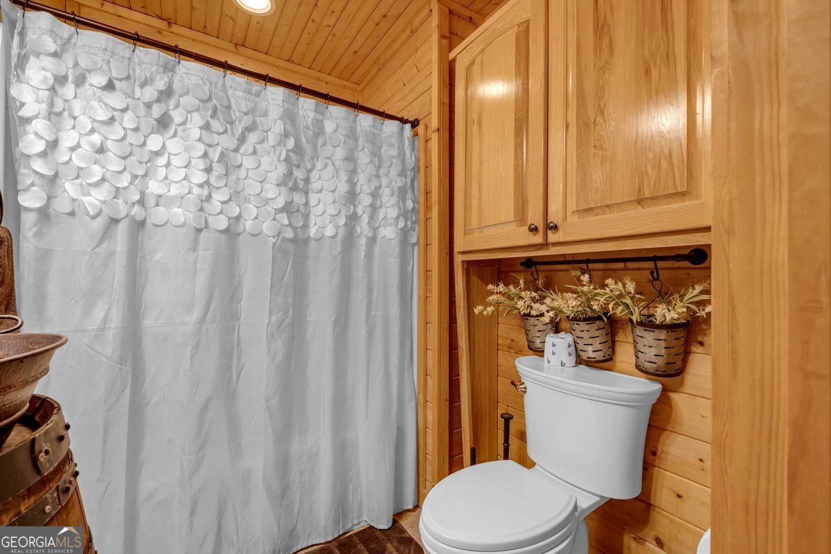 549 Sleepy Hollow Road Ellijay - Photo 46