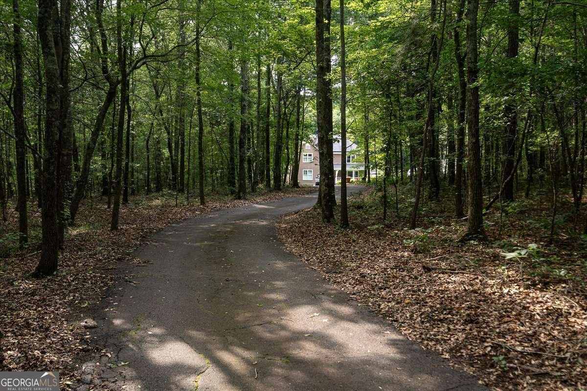 175 Windfall Drive Winterville - Photo 8