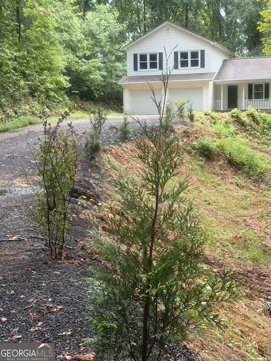 64 Hickory Lane Dahlonega - Photo 49