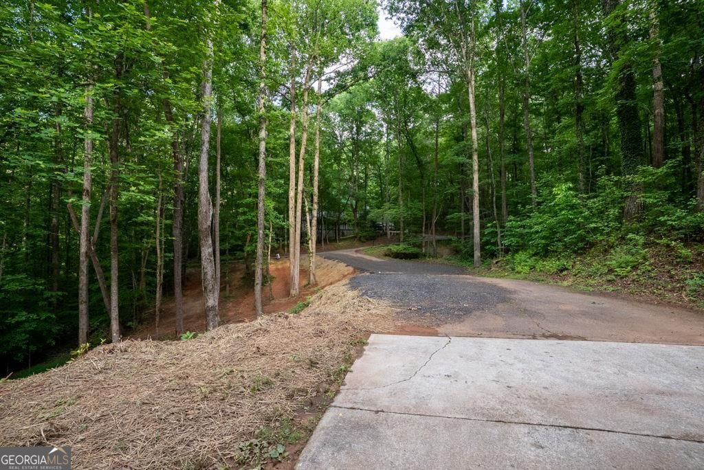 64 Hickory Lane Dahlonega - Photo 6