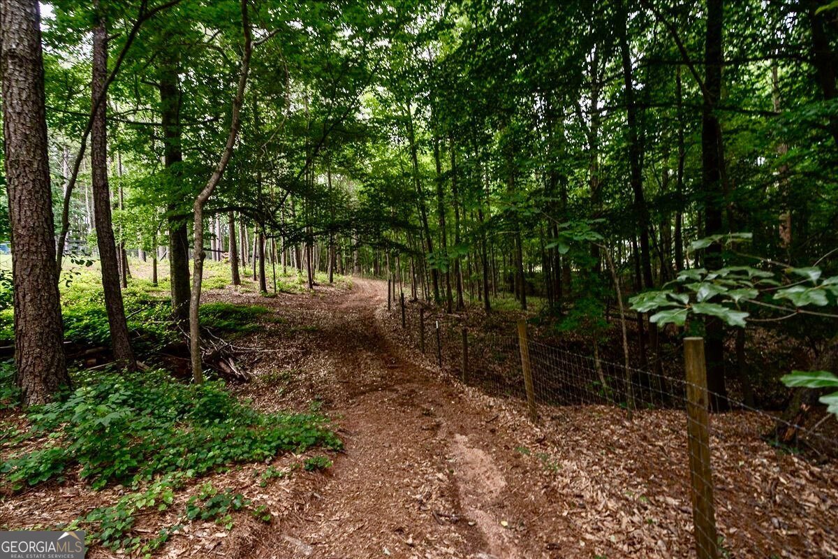 1260 Old Kincaid Road Colbert - Photo 35