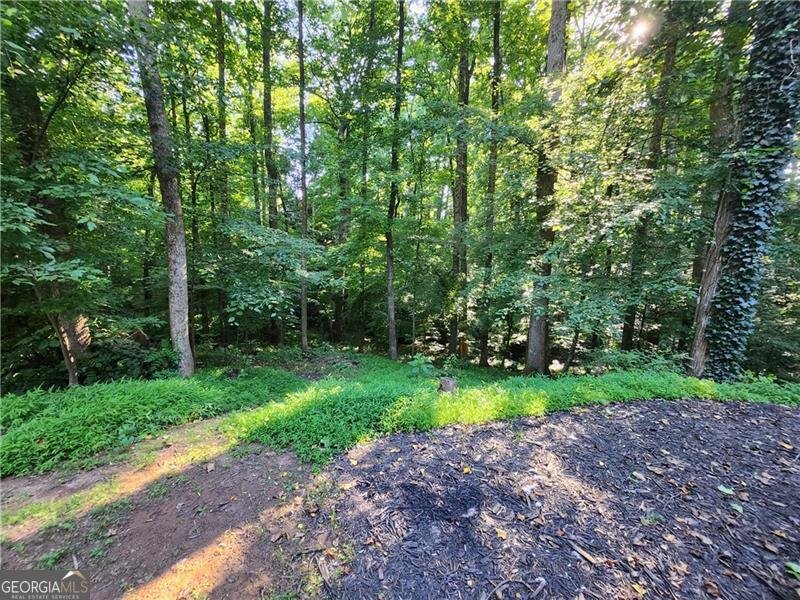 1830 Commonwealth Lane Cumming - Photo 19