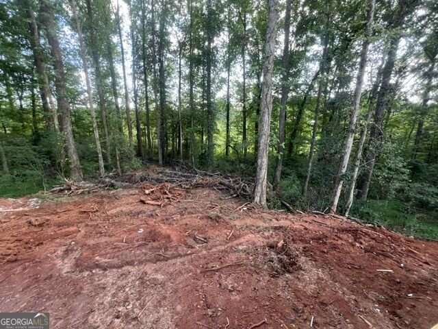 296 Stonington Drive Mount Airy - Photo 41