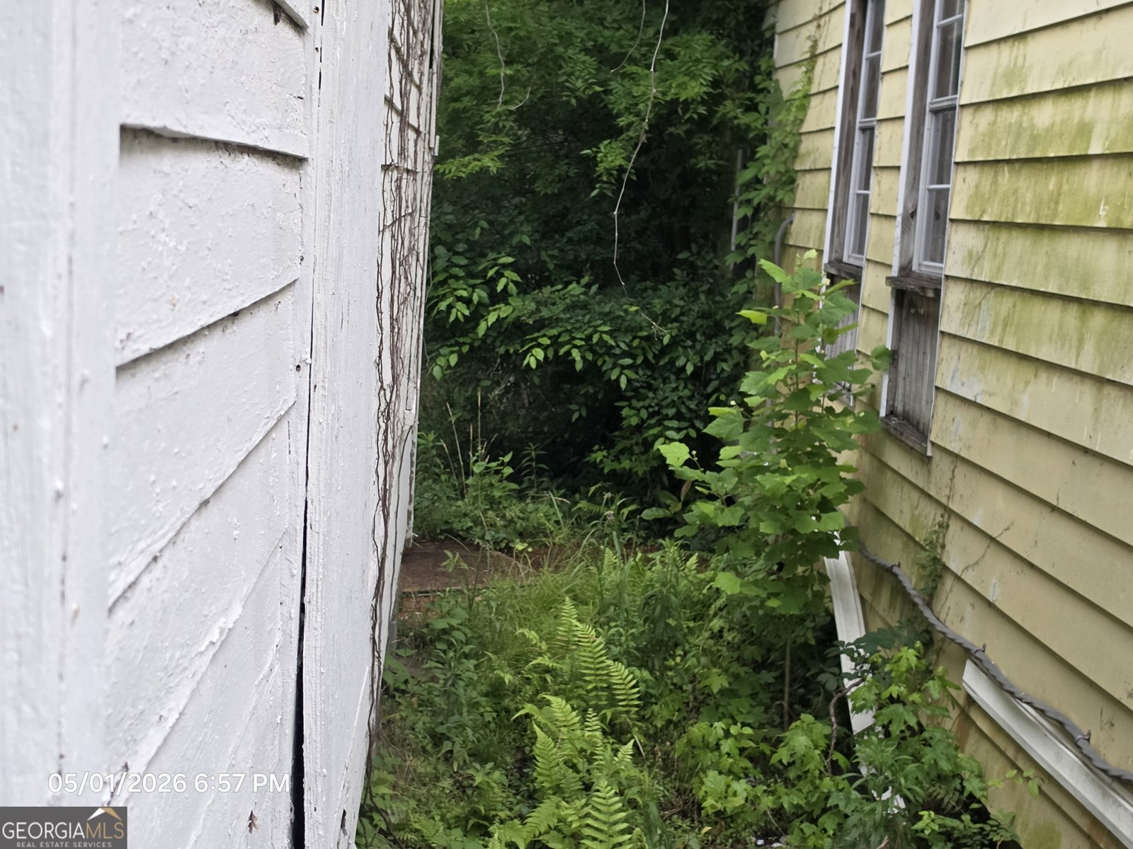 1338 Augusta Avenue Savannah - Photo 9