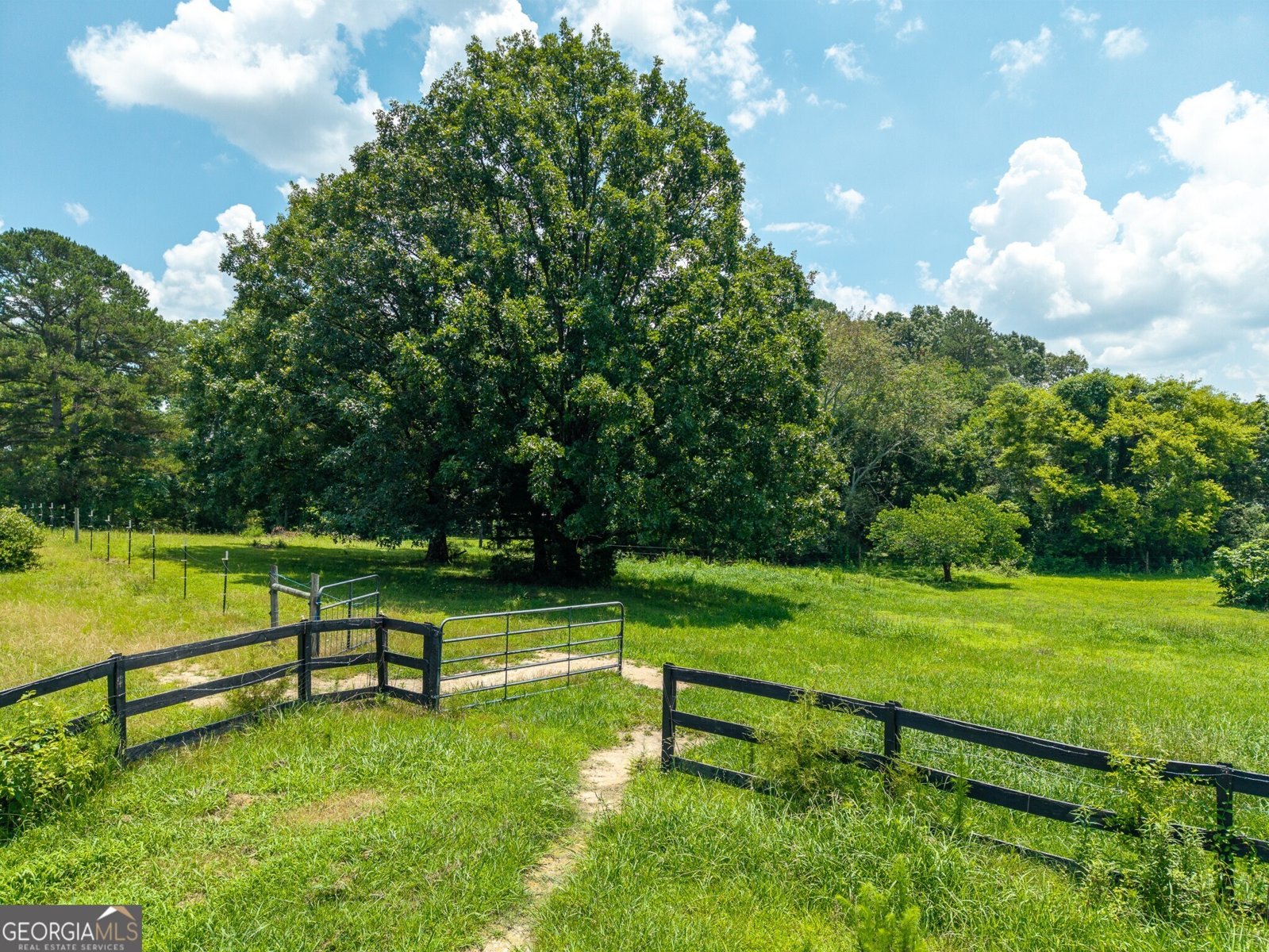 774 Bray Road Calhoun - Photo 86
