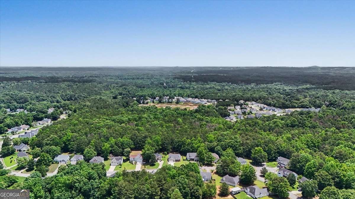 164 Ivey Lake Parkway Temple - Photo 46