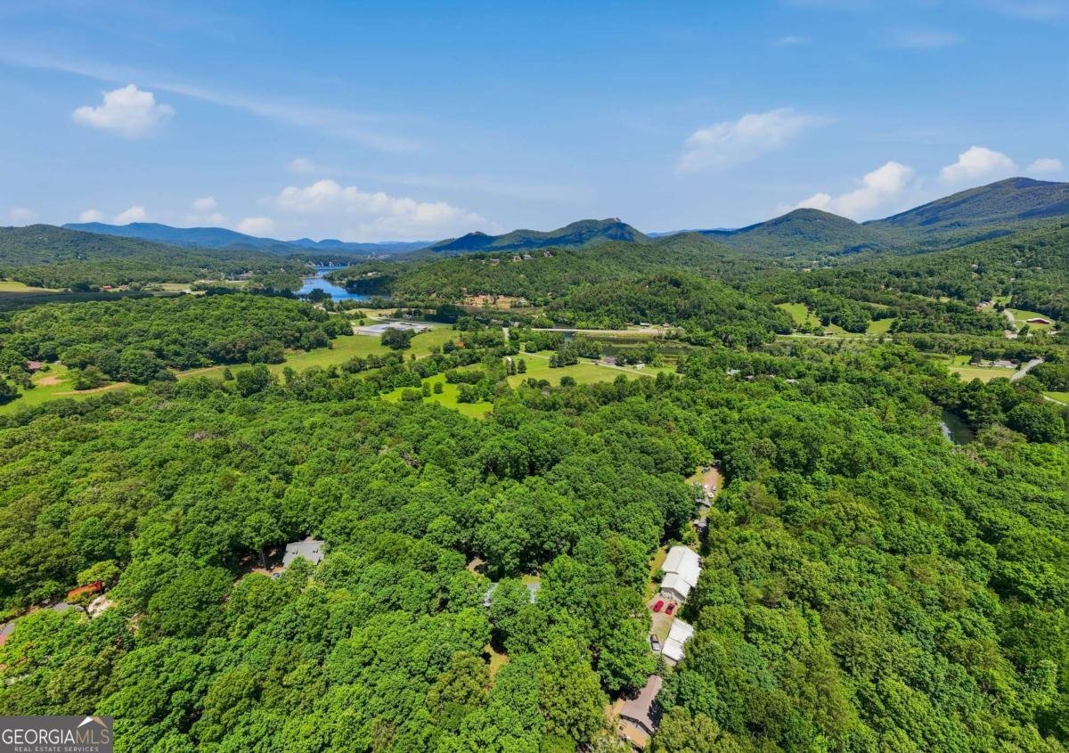2455 Oak Knoll Drive Hiawassee - Photo 12