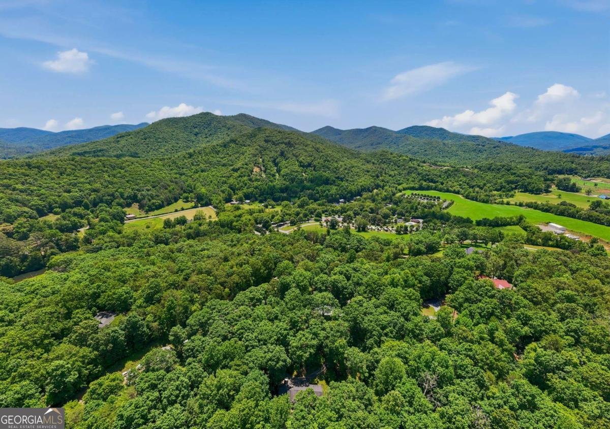 2455 Oak Knoll Drive Hiawassee - Photo 13