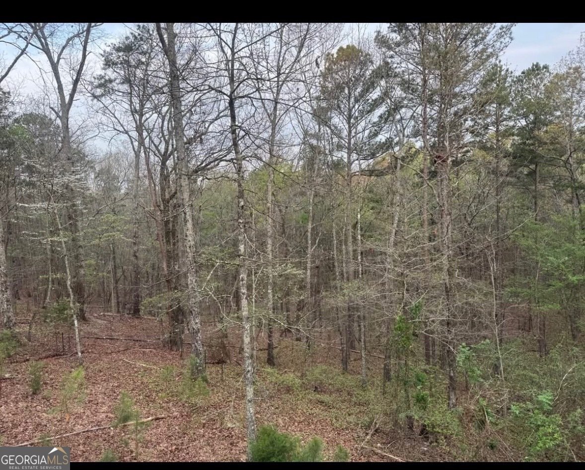 48 Spring Ridge Road Kingston - Photo 17