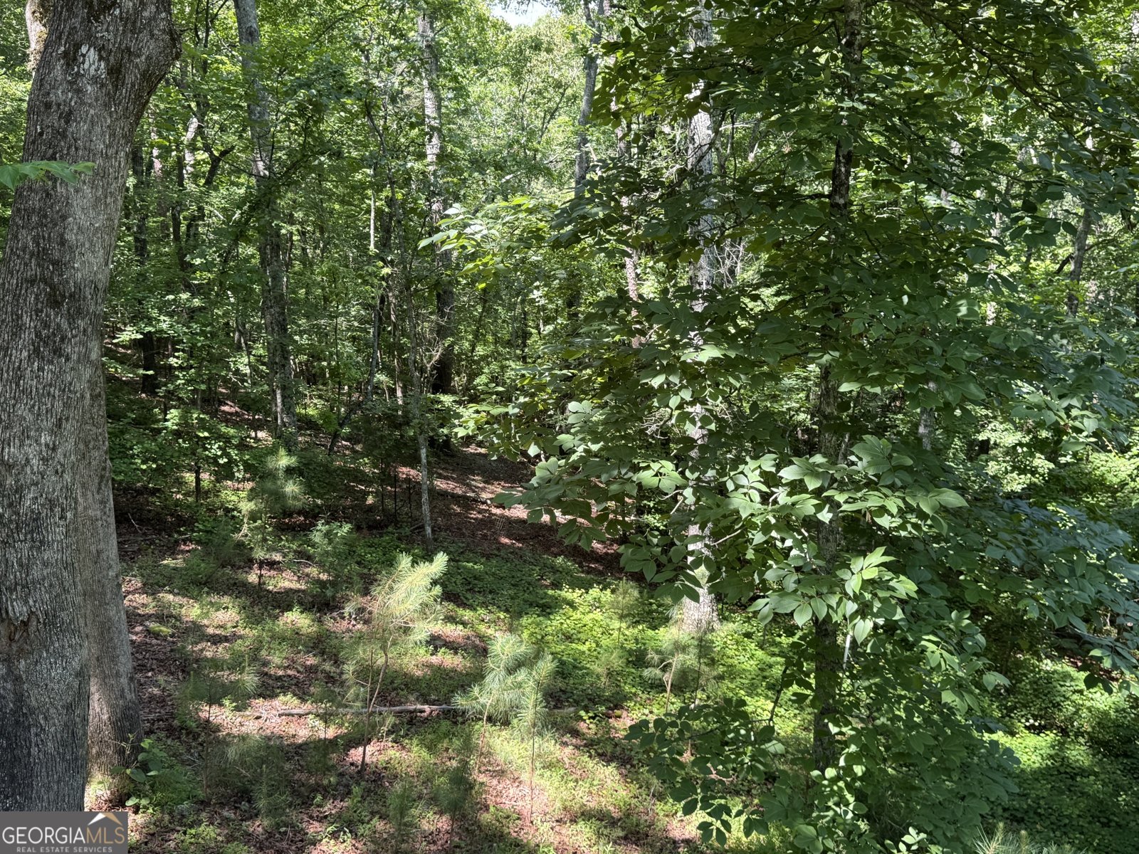 48 Spring Ridge Road Kingston - Photo 18