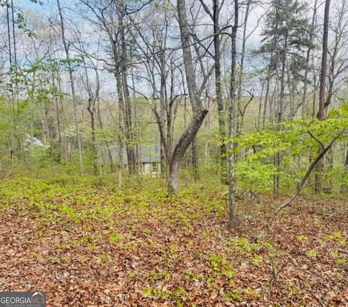 48 Spring Ridge Road Kingston - Photo 20