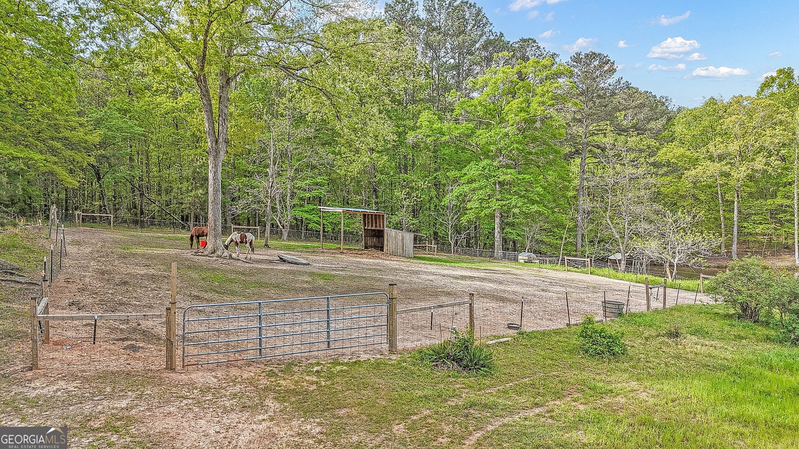 404 Tranquil Cemetary Road Senoia - Photo 11