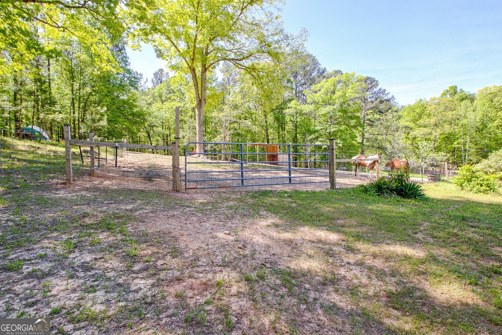 404 Tranquil Cemetary Road Senoia - Photo 12