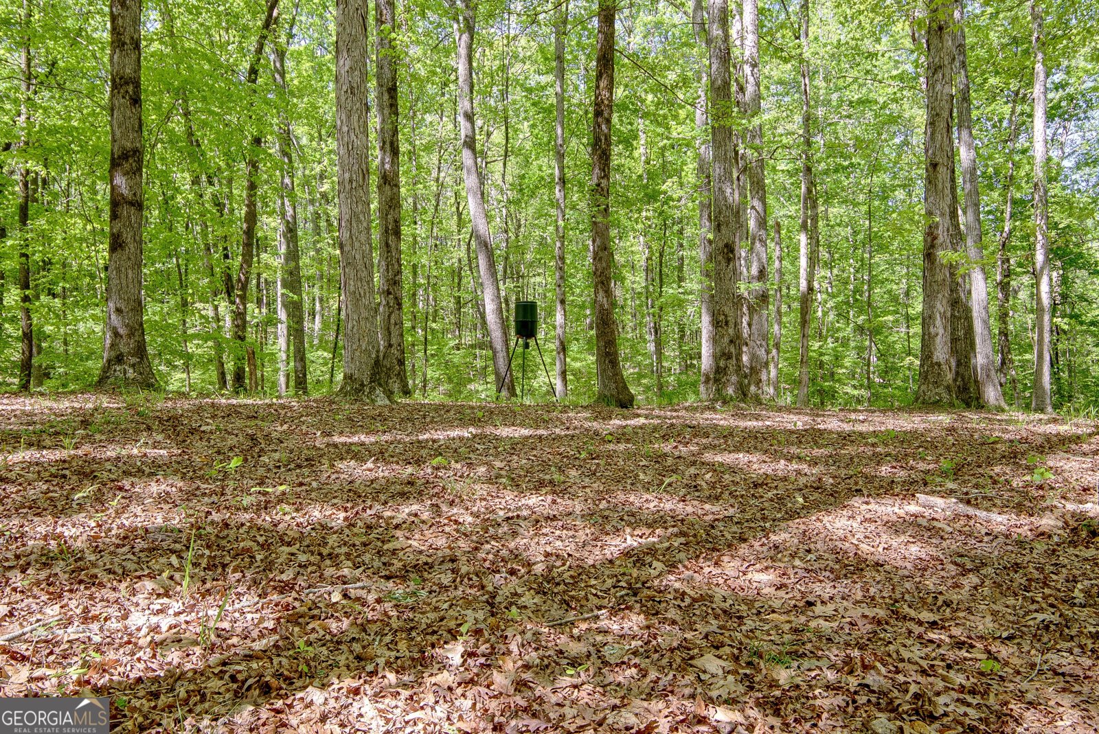 404 Tranquil Cemetary Road Senoia - Photo 14