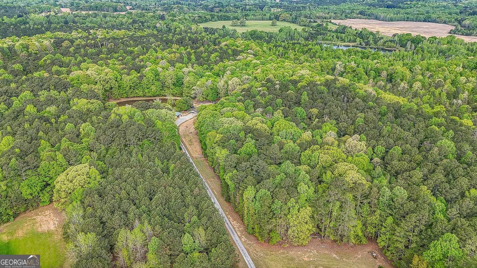 404 Tranquil Cemetary Road Senoia - Photo 6