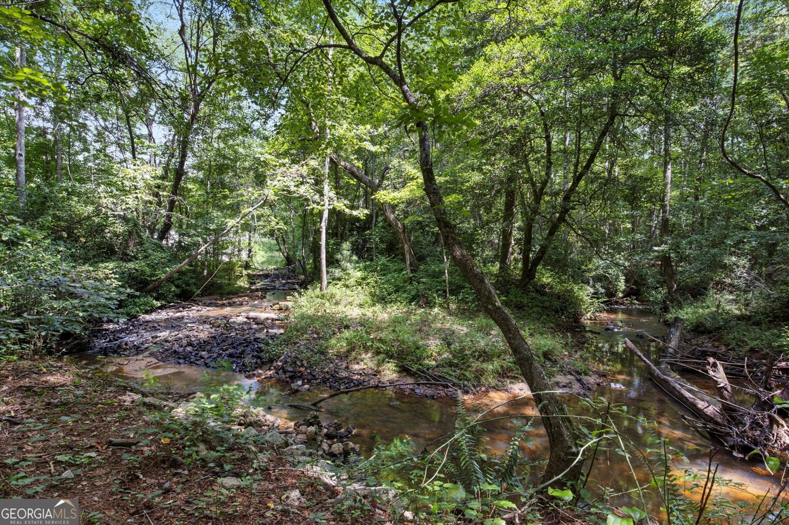8023 Whitestone Boulevard Douglasville - Photo 96