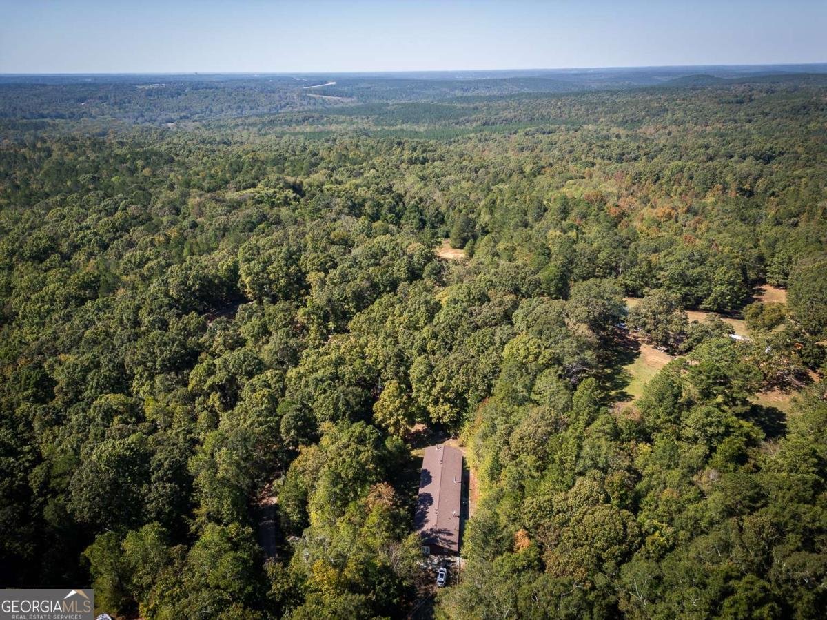1163 Nickville Road Elberton - Photo 36