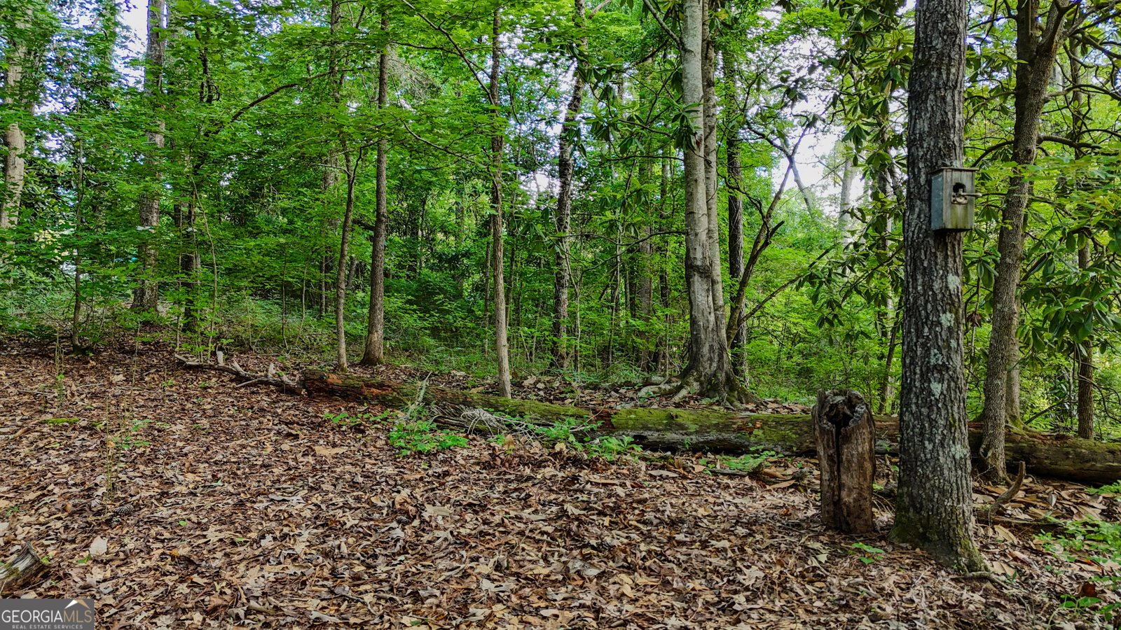 110 Handy Road Newnan - Photo 74