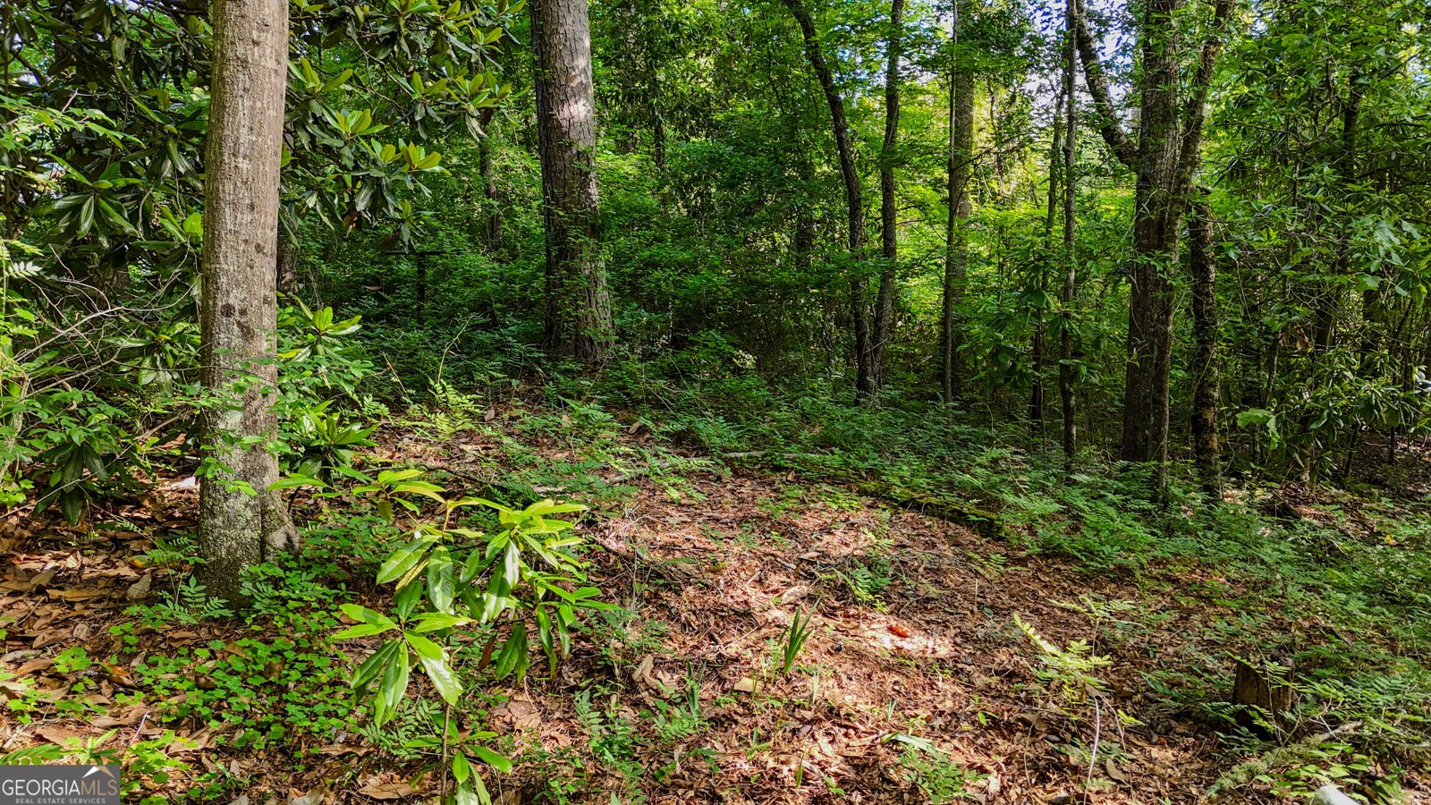 110 Handy Road Newnan - Photo 79