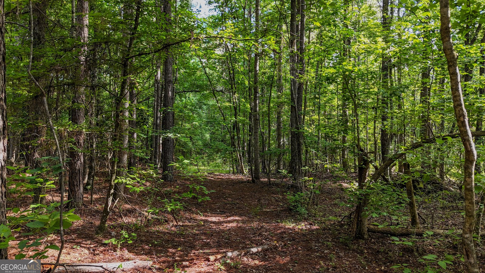 110 Handy Road Newnan - Photo 88