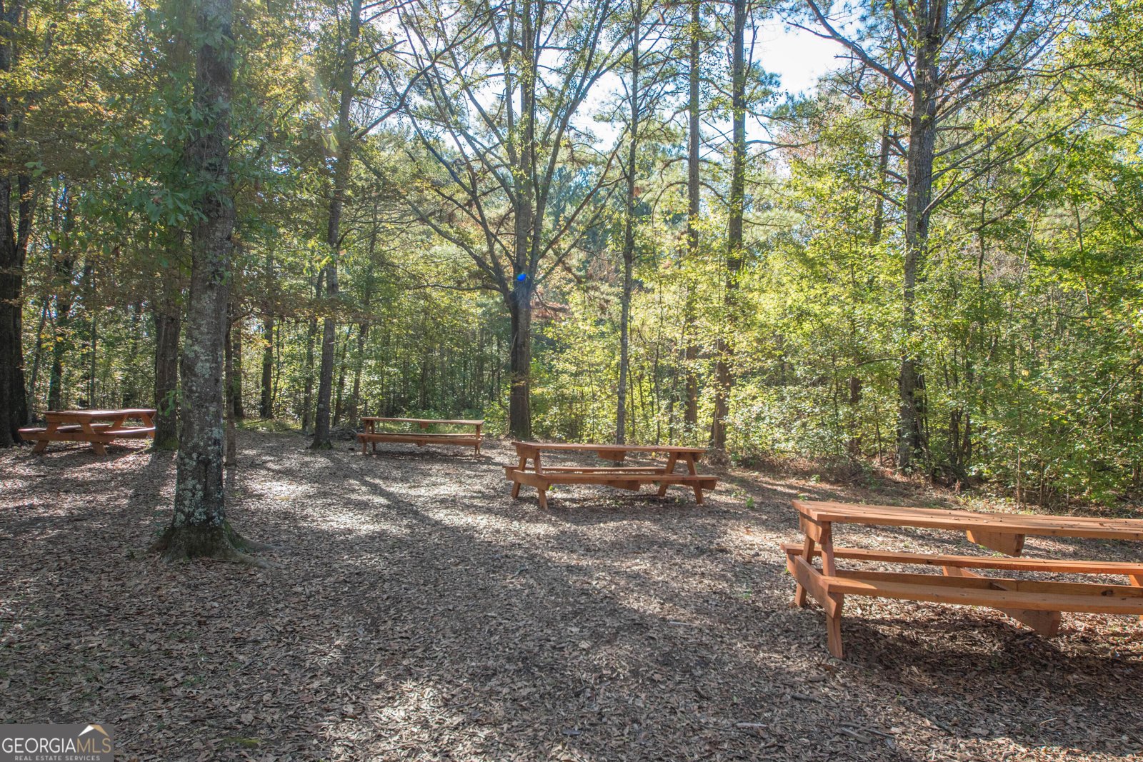 185 Treeside Terrace Fayetteville - Photo 73