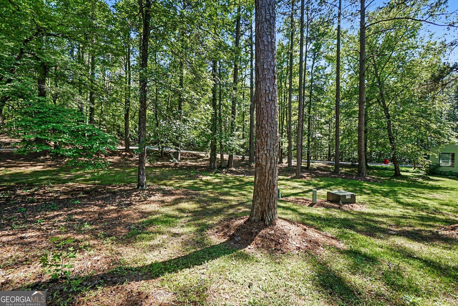 303 Oak Ridge Drive Villa Rica - Photo 23