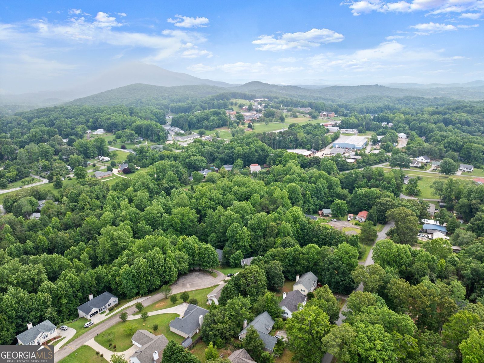 136 Mountain Overlook Drive Cleveland - Photo 41