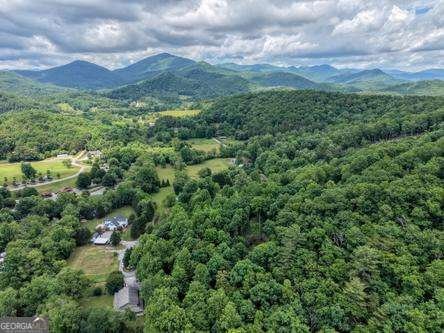 2502 Kelley Lane Hiawassee - Photo 48