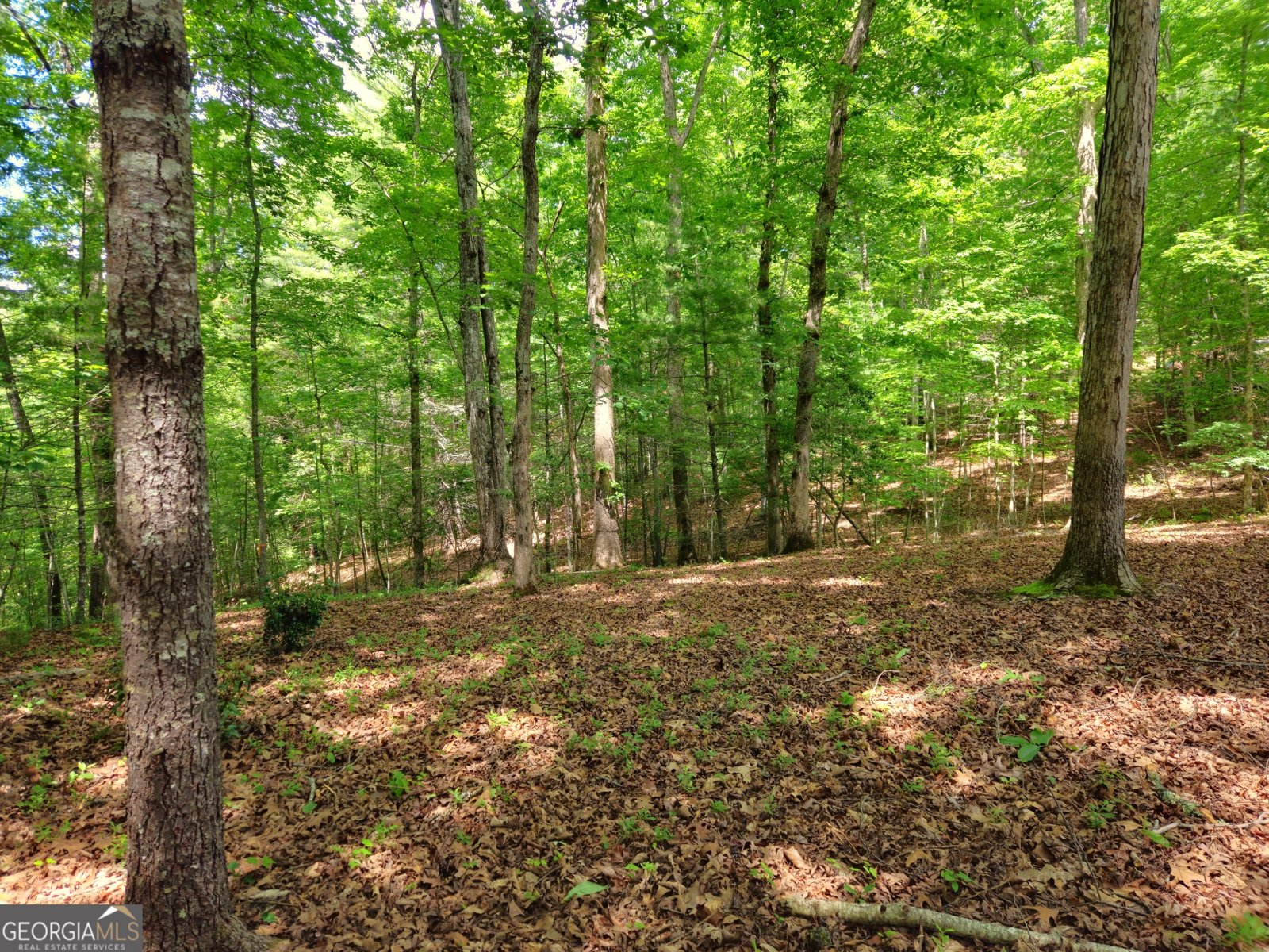 211 Winding Brook Trail Morganton - Photo 101
