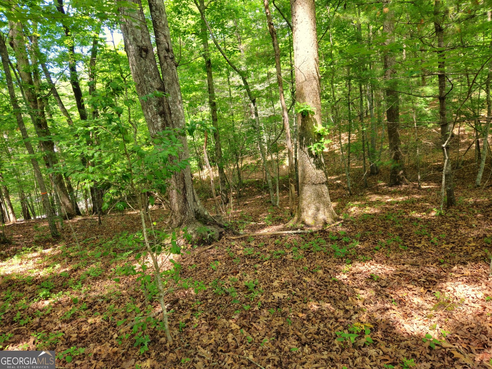 211 Winding Brook Trail Morganton - Photo 102