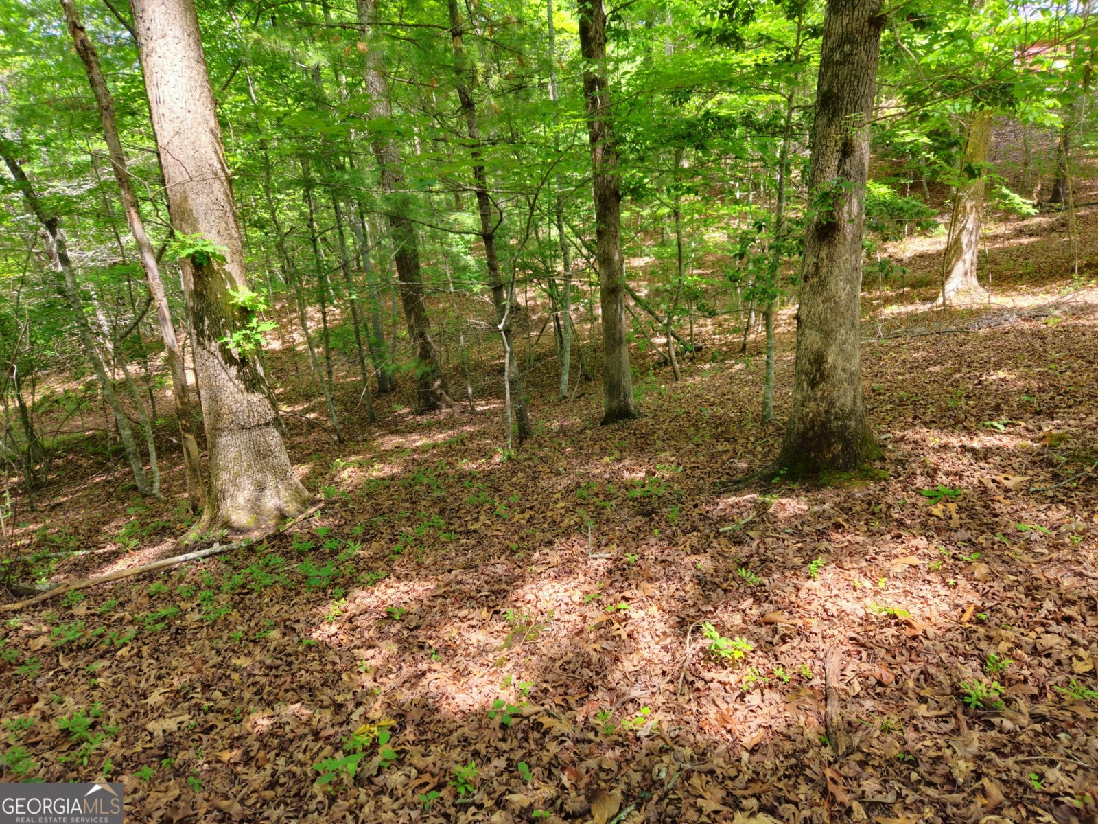 211 Winding Brook Trail Morganton - Photo 103