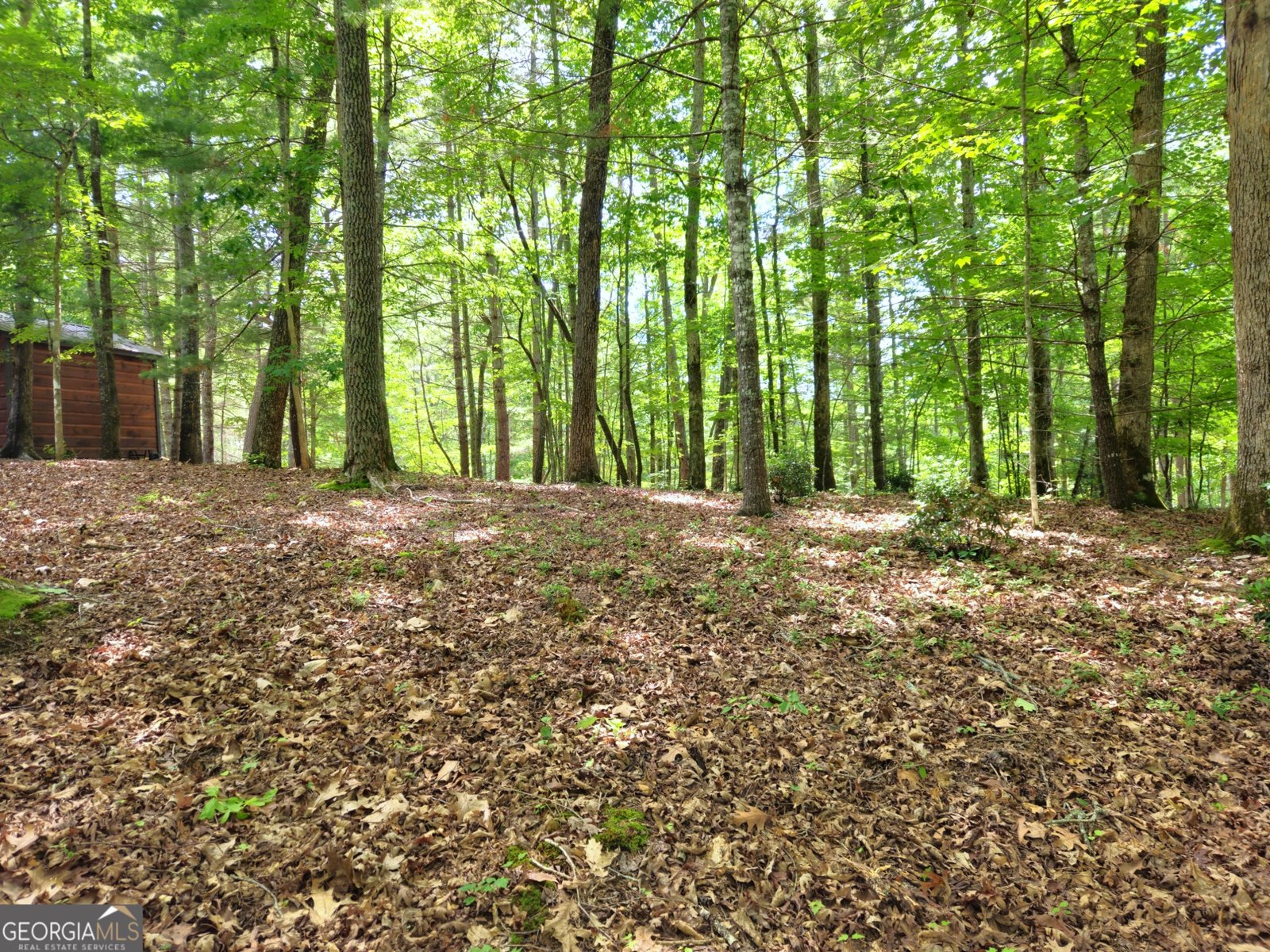 211 Winding Brook Trail Morganton - Photo 107