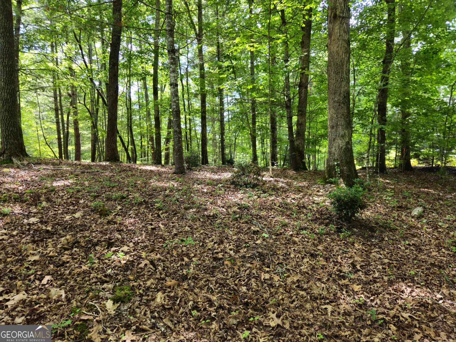 211 Winding Brook Trail Morganton - Photo 108