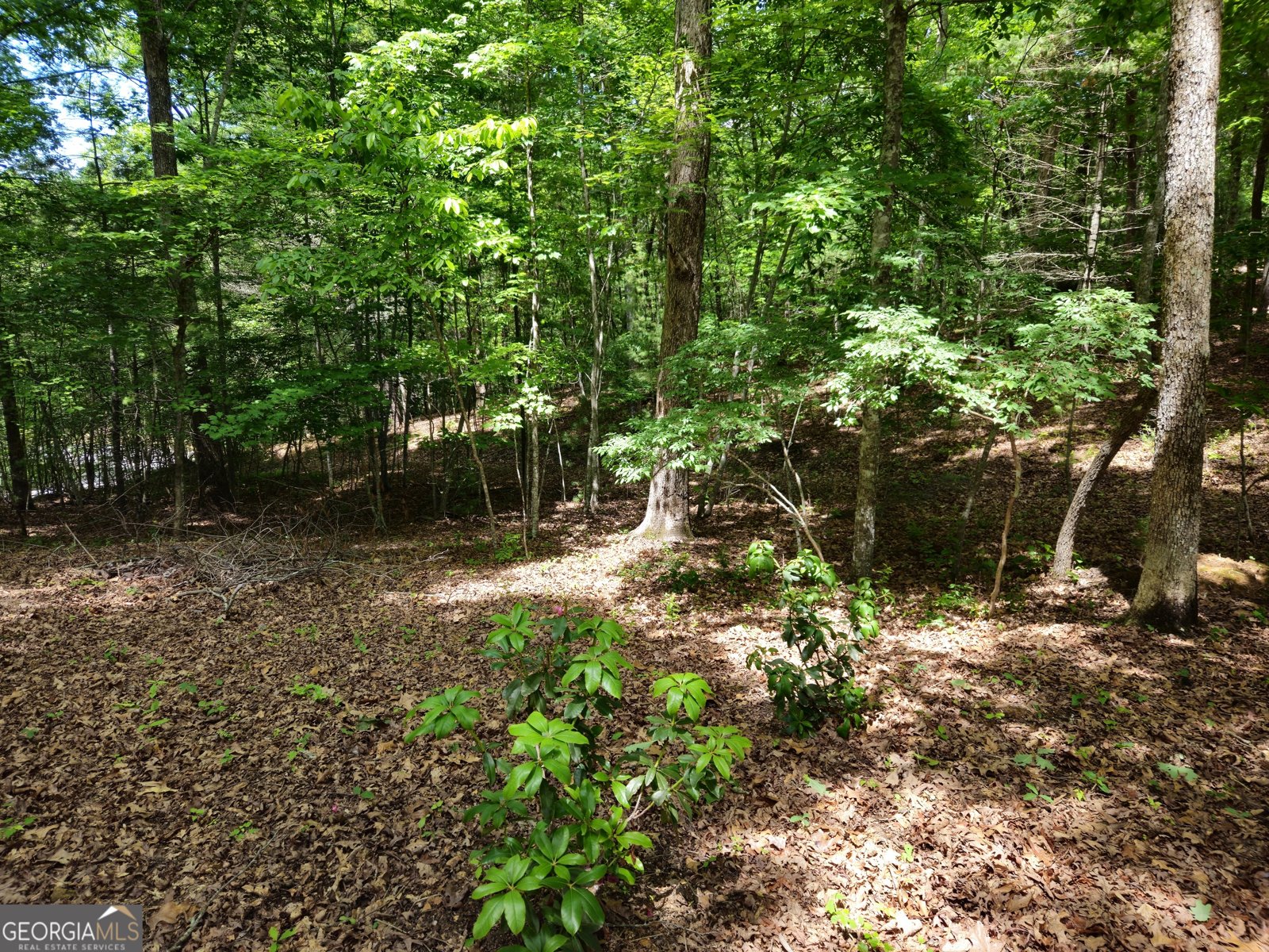 211 Winding Brook Trail Morganton - Photo 110