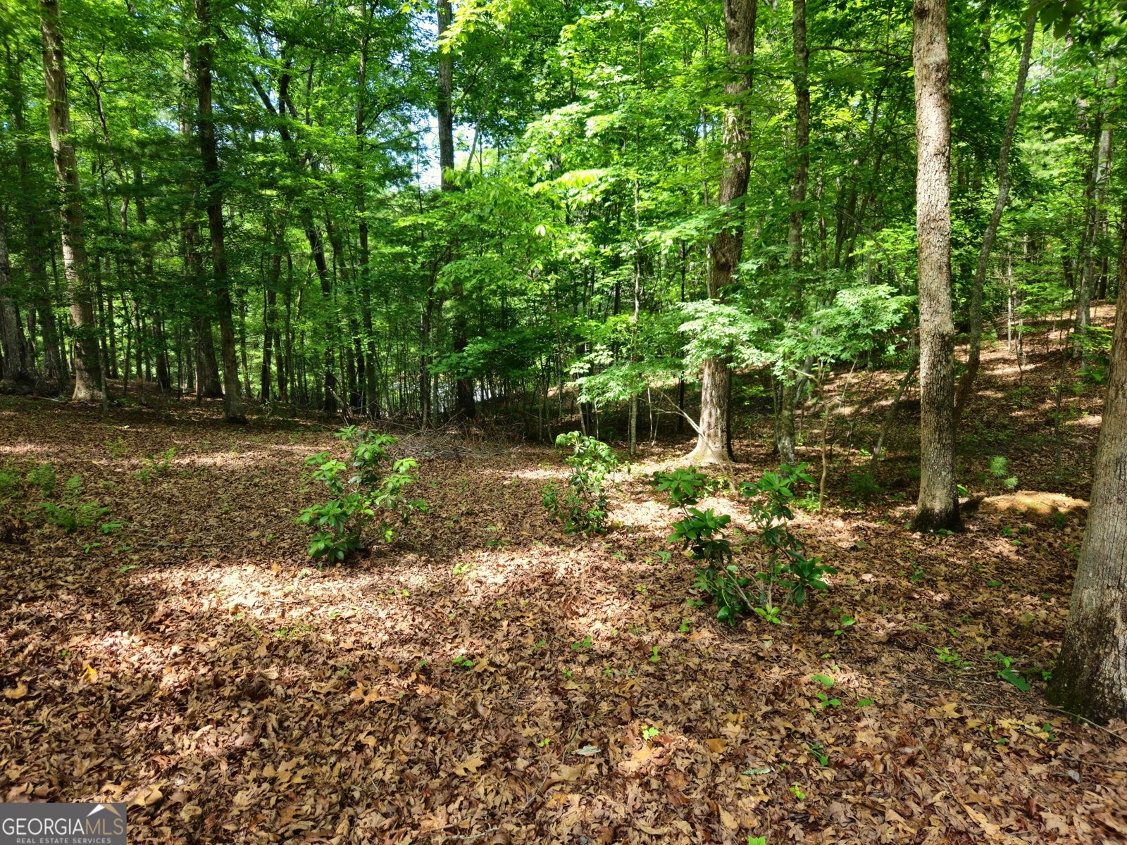 211 Winding Brook Trail Morganton - Photo 113