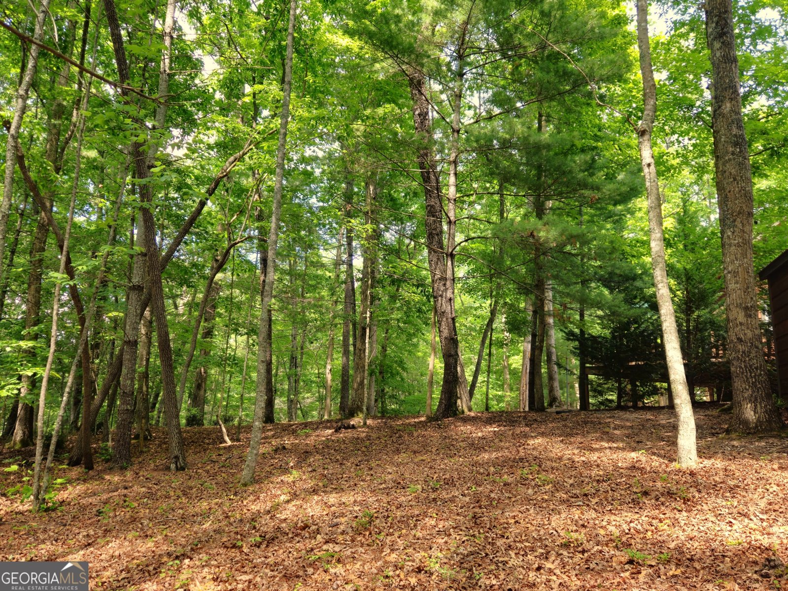 211 Winding Brook Trail Morganton - Photo 118