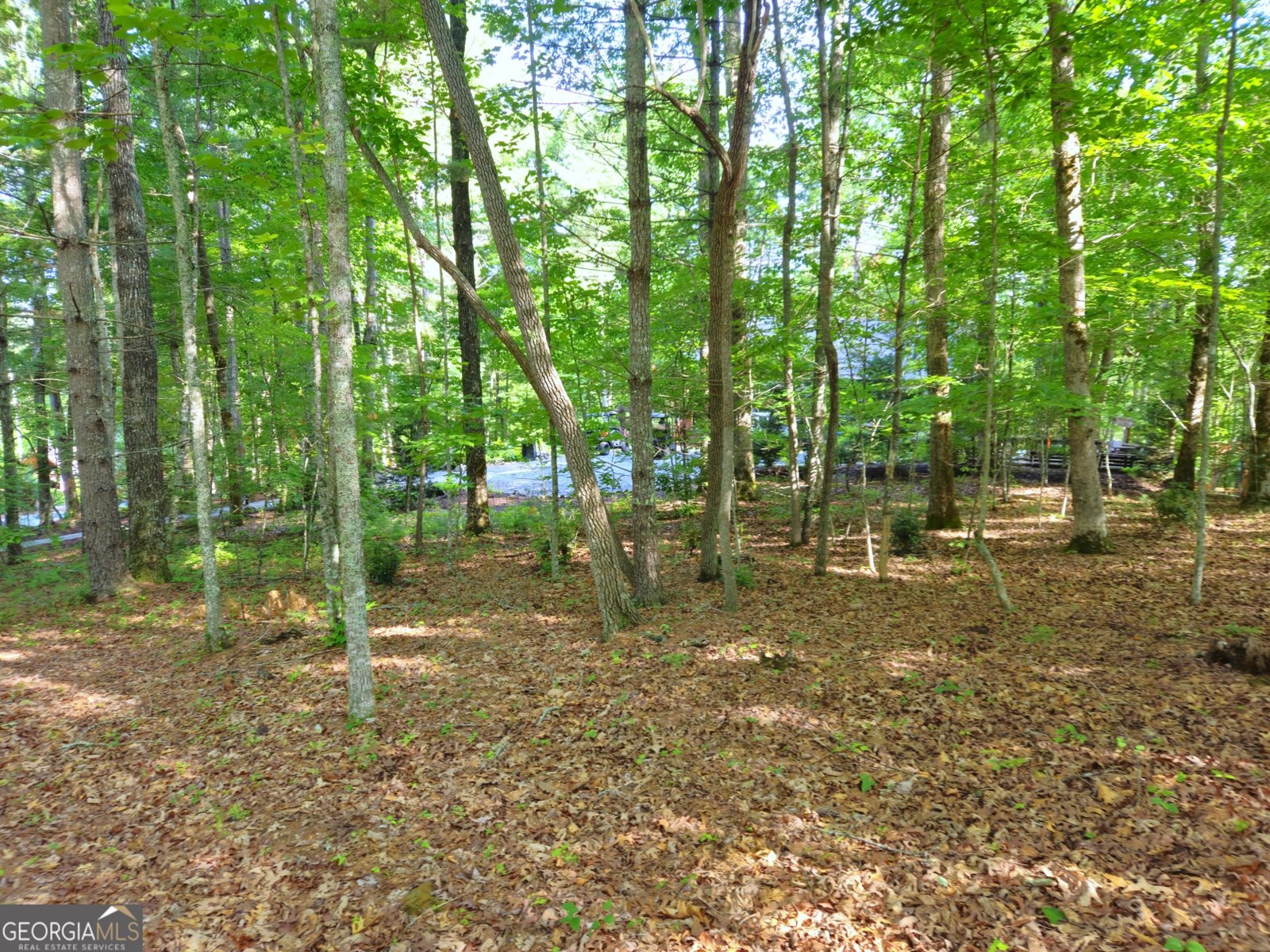 211 Winding Brook Trail Morganton - Photo 89