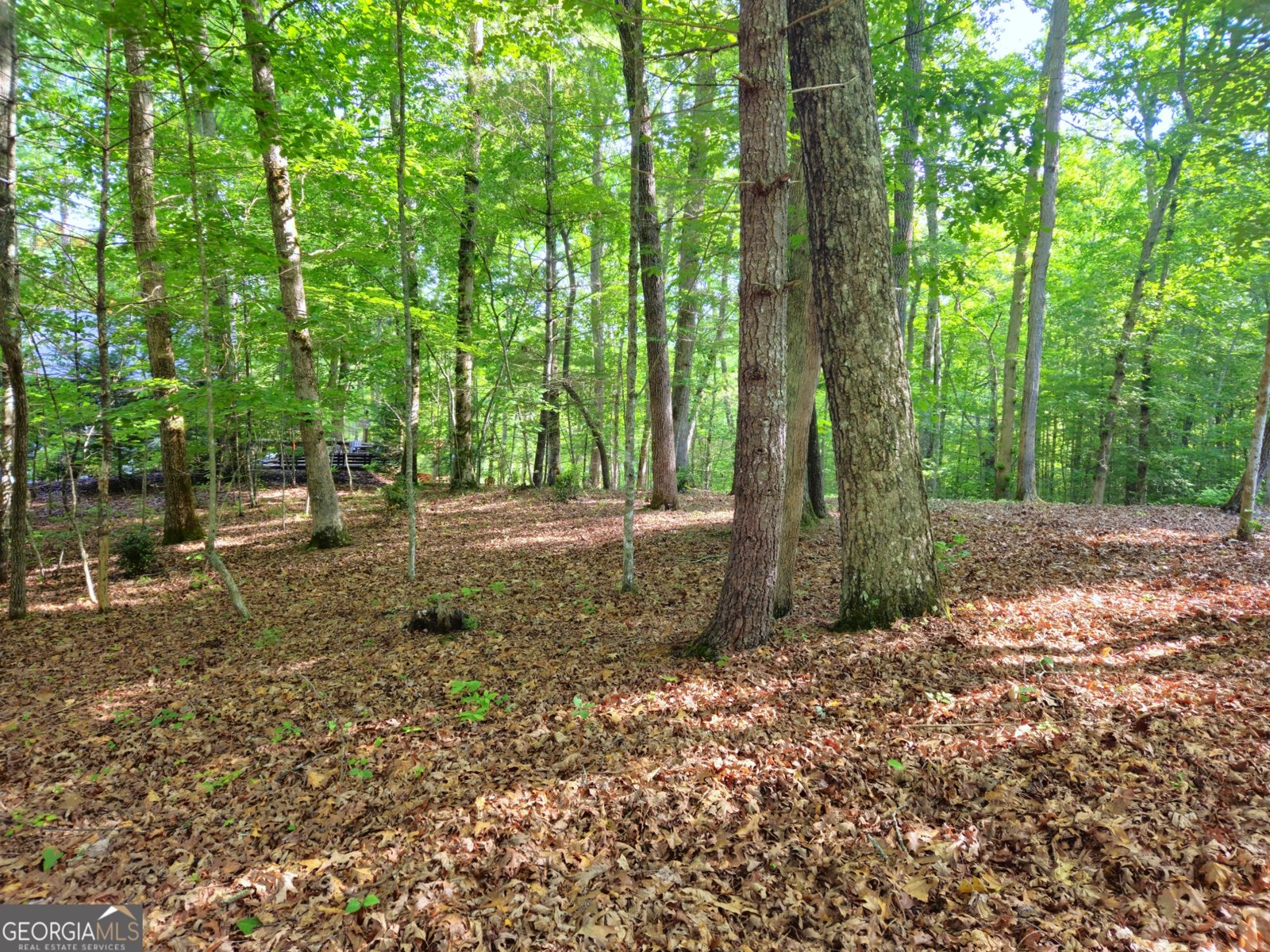 211 Winding Brook Trail Morganton - Photo 90