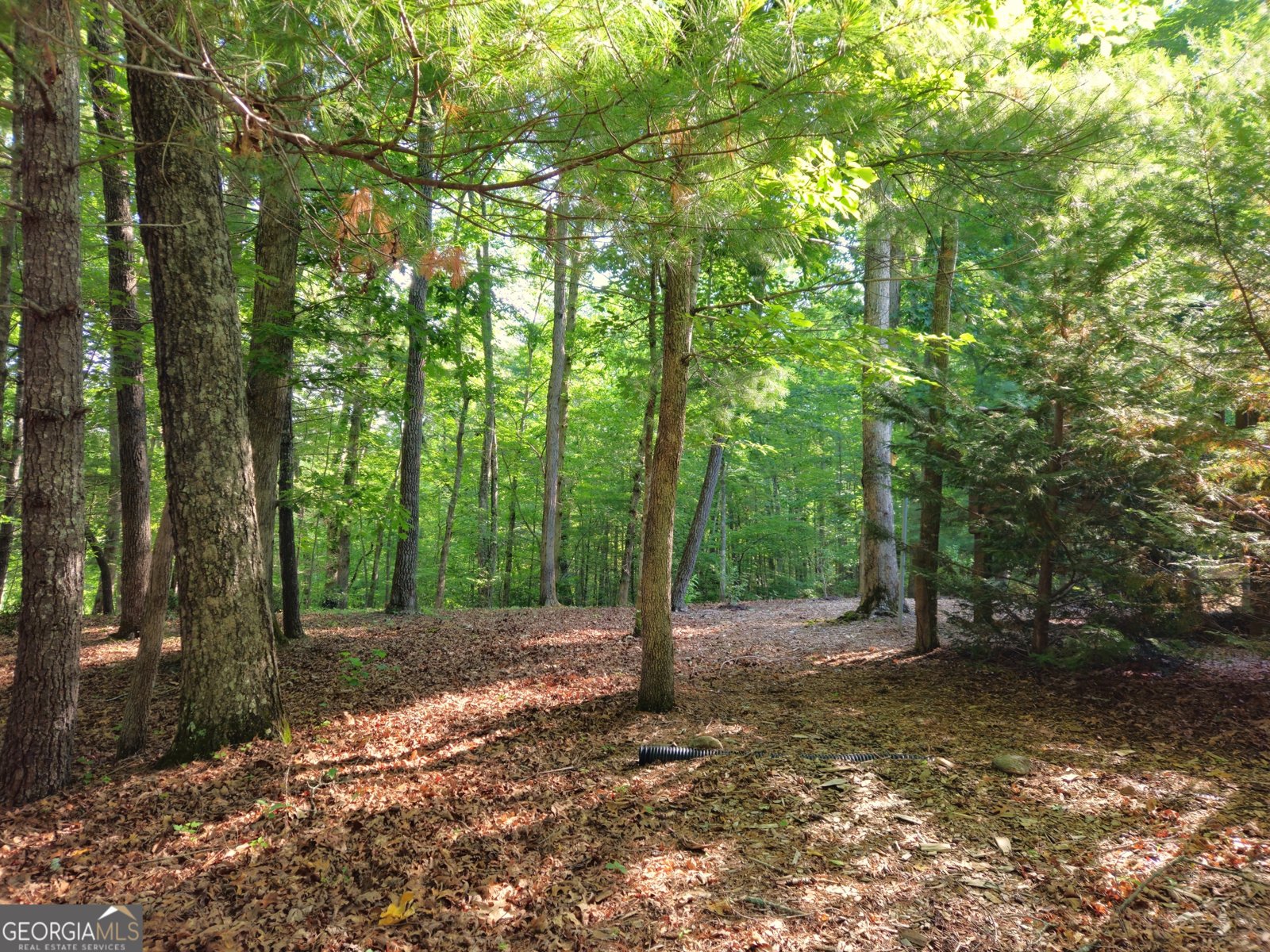 211 Winding Brook Trail Morganton - Photo 91
