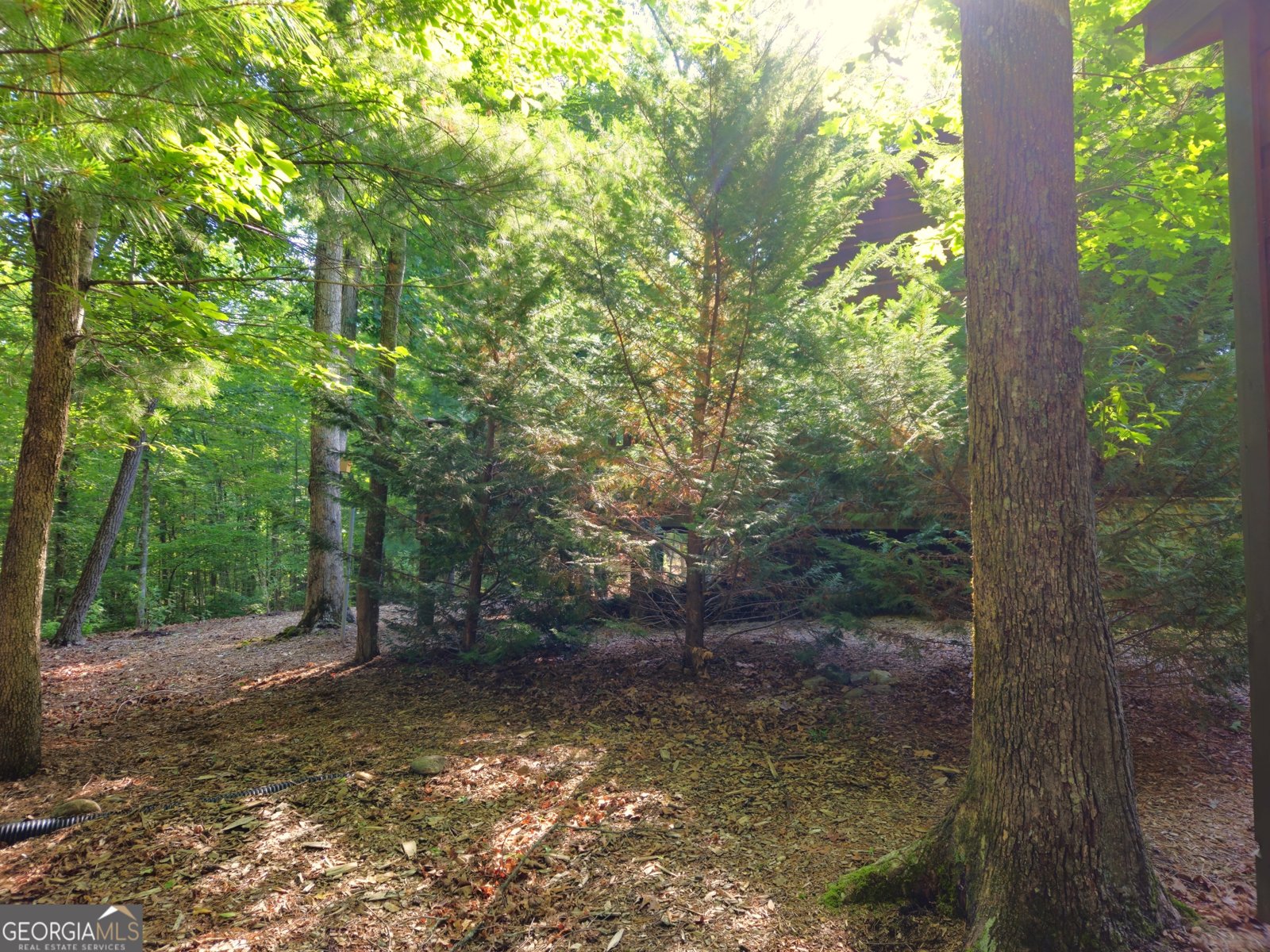 211 Winding Brook Trail Morganton - Photo 92