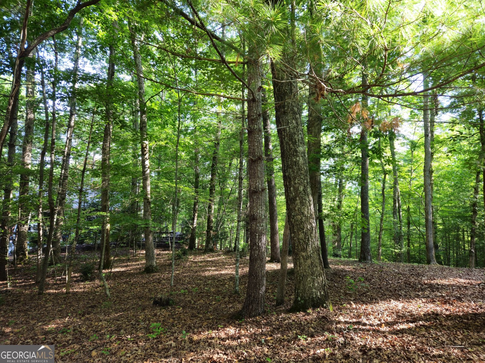 211 Winding Brook Trail Morganton - Photo 93