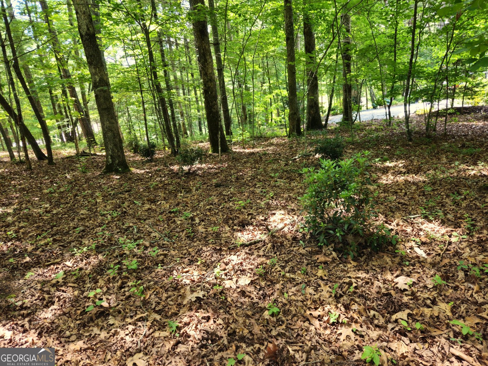 211 Winding Brook Trail Morganton - Photo 95