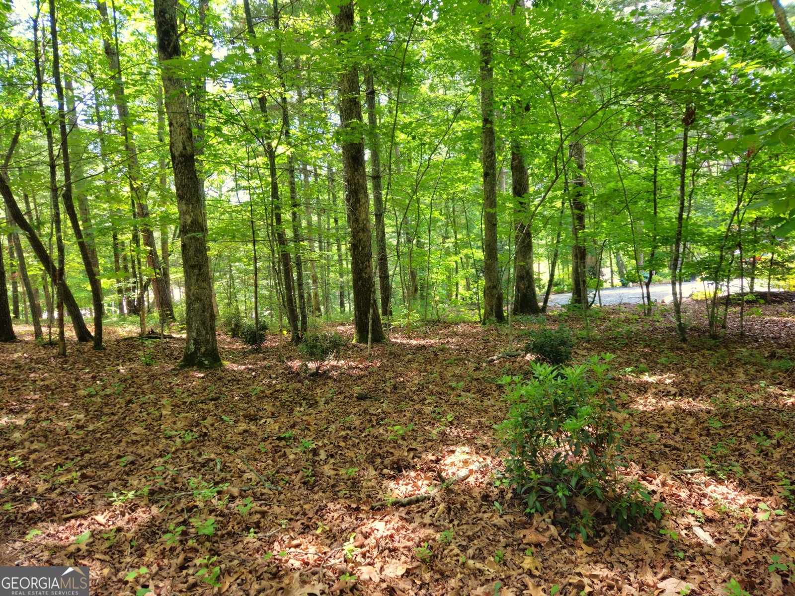 211 Winding Brook Trail Morganton - Photo 96