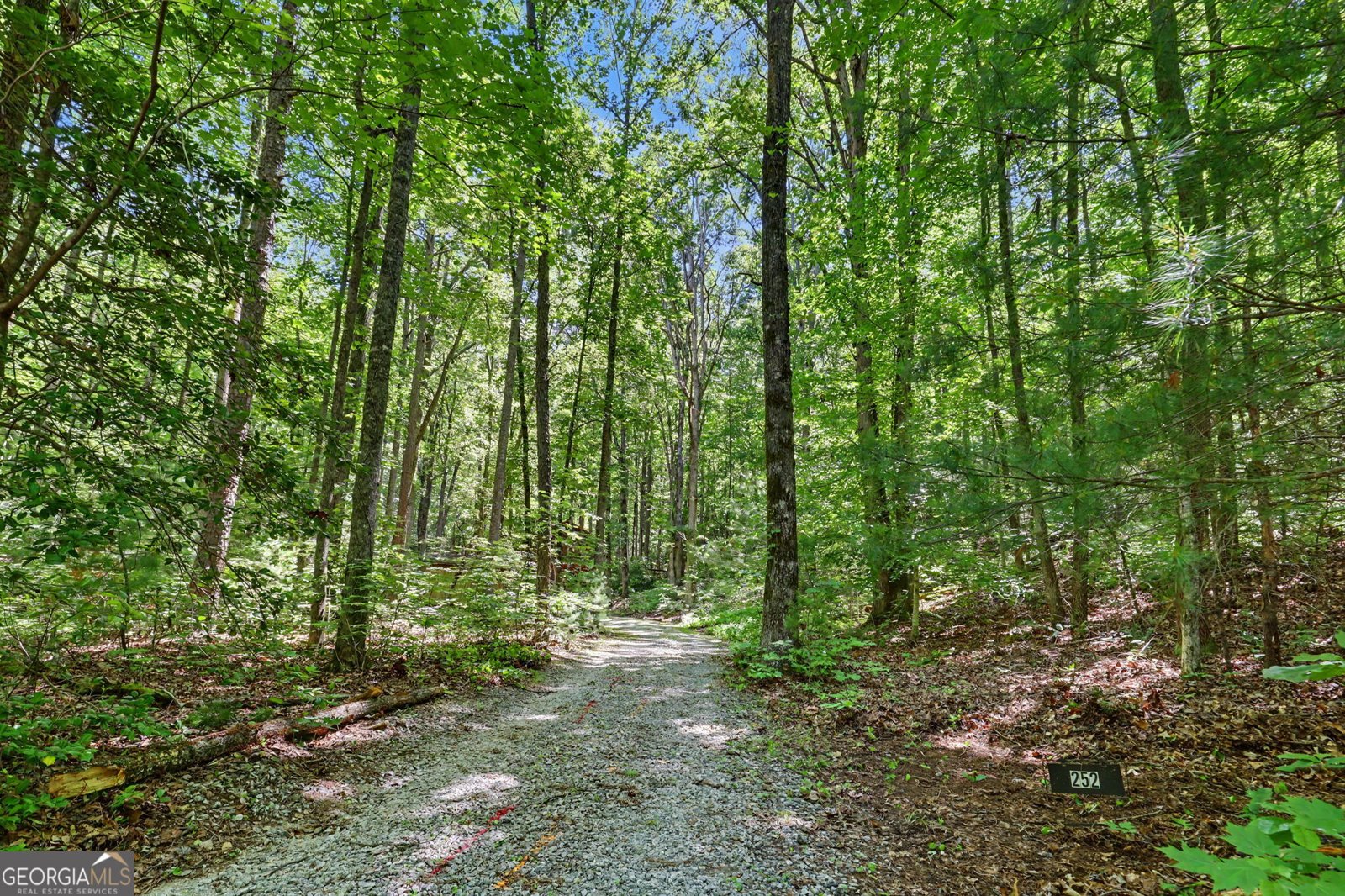 252 Navigator Lane Tiger - Photo 49