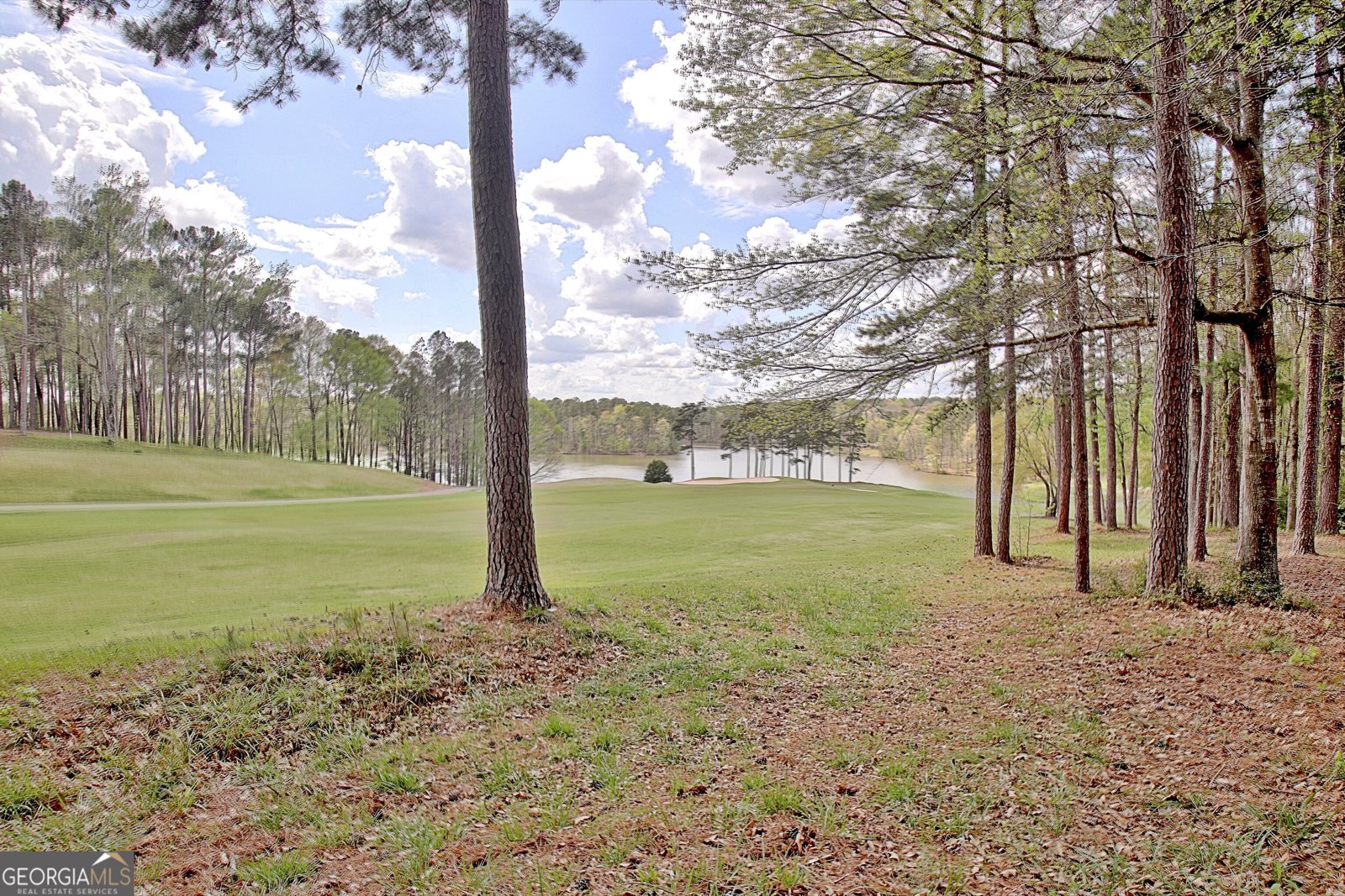807 Teal Vista Peachtree City - Photo 108