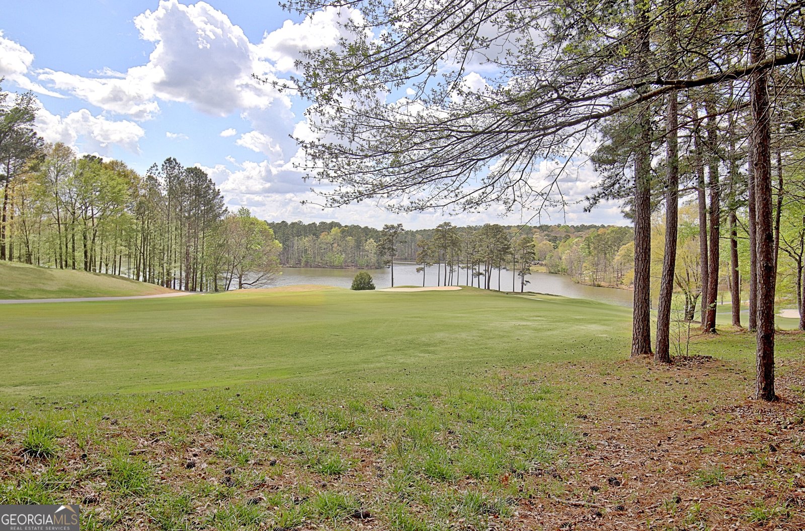 807 Teal Vista Peachtree City - Photo 109