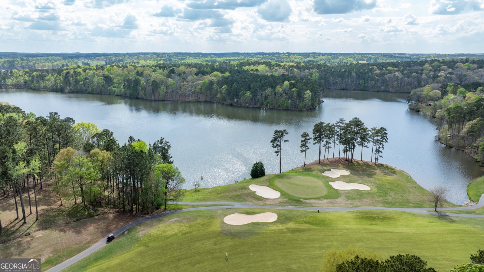 807 Teal Vista Peachtree City - Photo 123