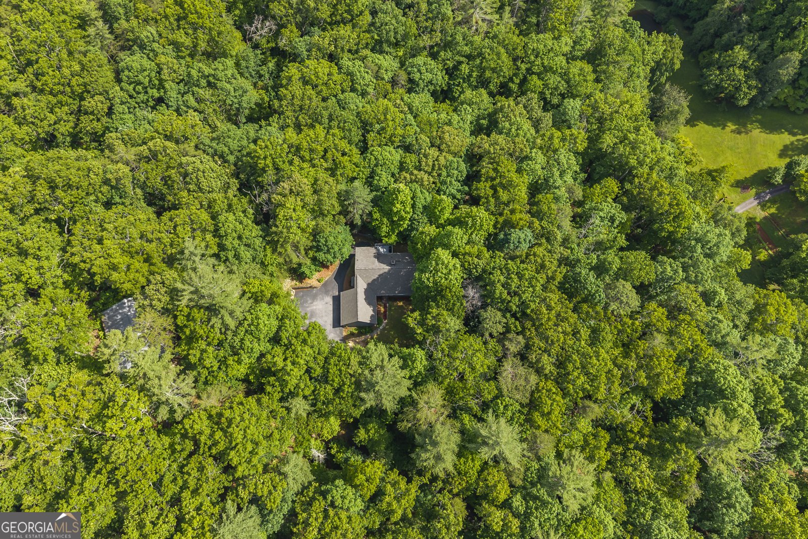262 Patrick Ln Helen - Photo 38