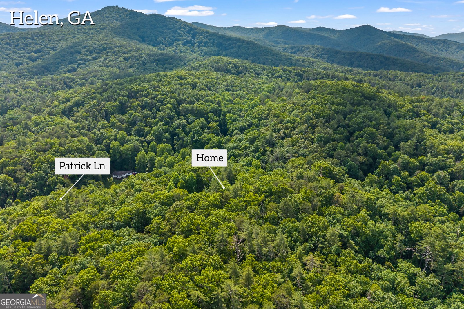 262 Patrick Ln Helen - Photo 39